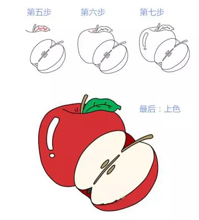 ˮʻȫ,ʺ׶԰Сѧ